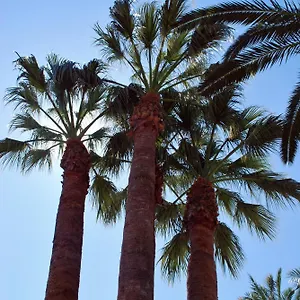 Les Palmeres Apartamento